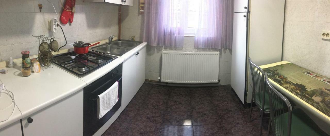 Appartement Apartament Mansarda à Curtea de Argeş Extérieur photo